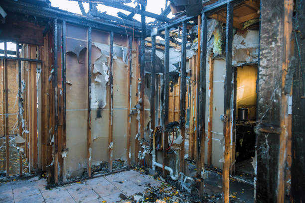 Professional Fire Damage Restoration technician working in Safety Harbor, FL