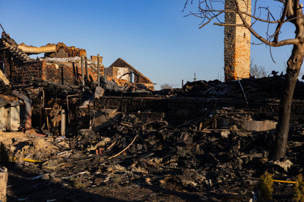 Reliable Fire Damage Restoration contractor in Safety Harbor, FL by Fire Damage Doption