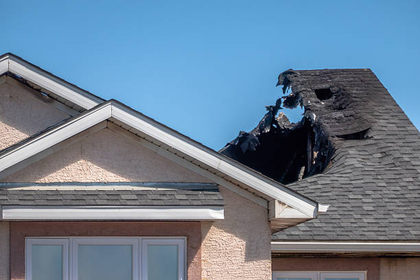 Top rated local Fire Damage Restoration specialists in Safety Harbor, FL